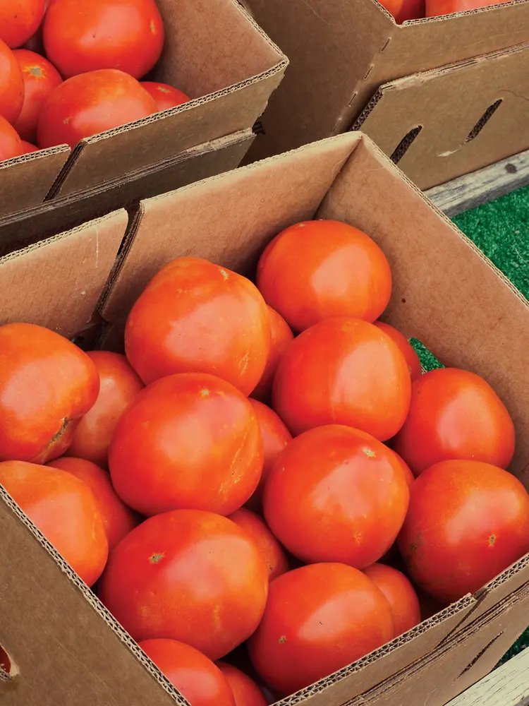 Henkel’s new Halo product line provides an answer to the challenges inherent in powdered borax additives required for corrugating.