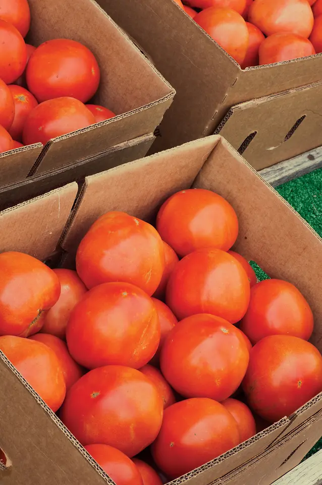 Henkel’s new Halo product line provides an answer to the challenges inherent in powdered borax additives required for corrugating.