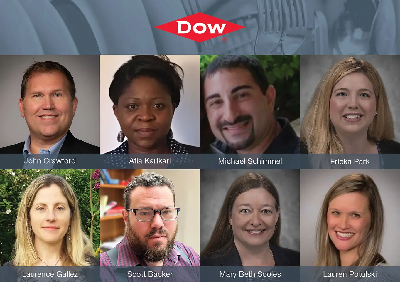 
Dow was honored as runner-up for developing a new high-performance ingredient that enables compaction and improves anti-spotting in automatic dishwashing products in North America.