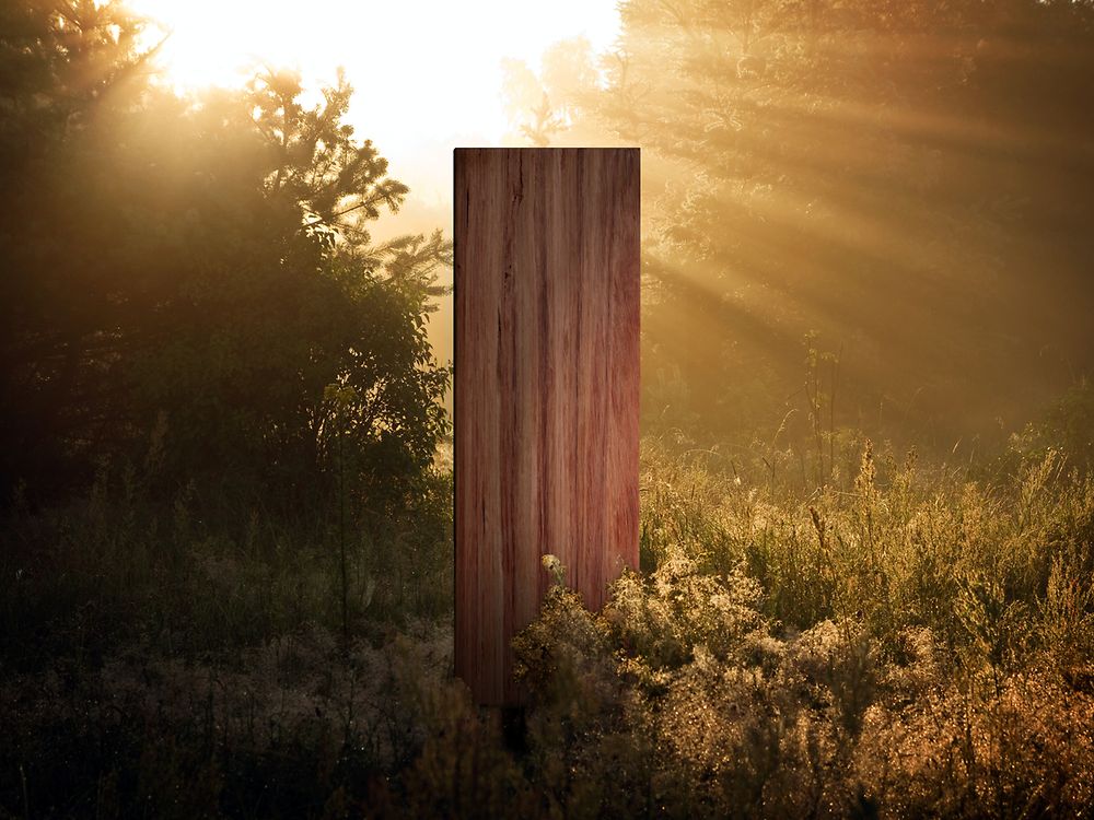 A wooden board in a forest environment is illuminated