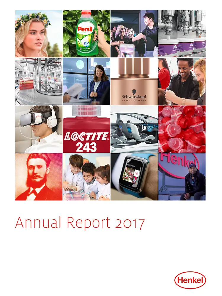 Letno poročilo 2017 (naslovnica)