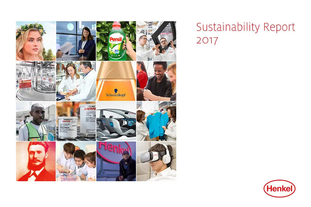 Poročilo o trajnostnem razvoju 2017 (naslovnica)