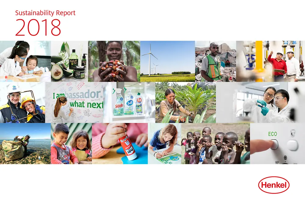 Poročilo o trajnostnem razvoju 2018 (naslovnica)